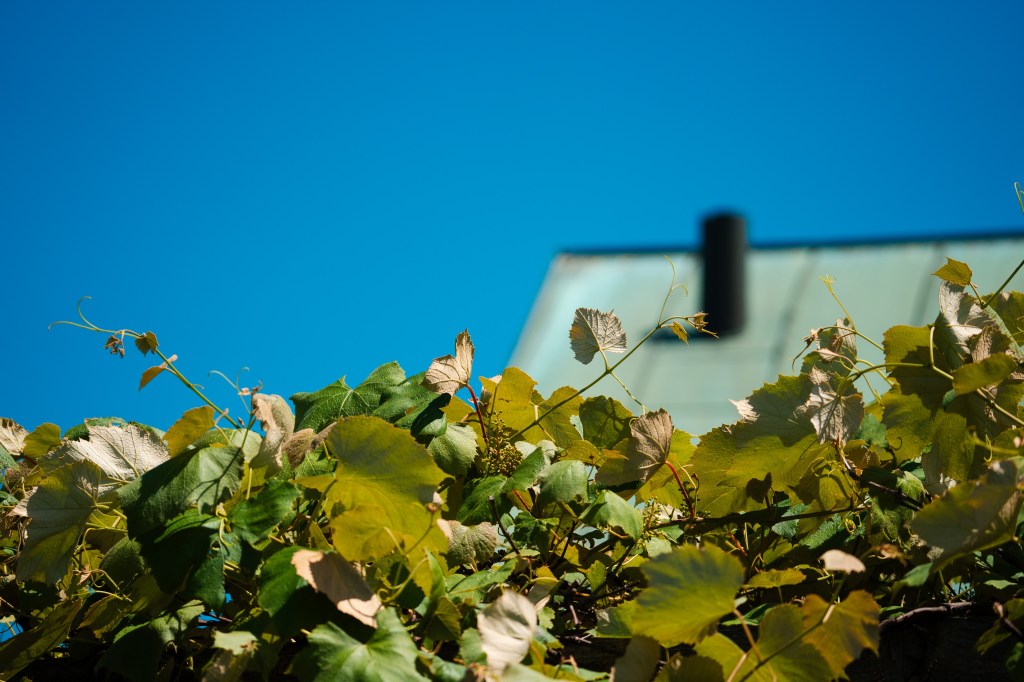 Chicago Botanic Garden